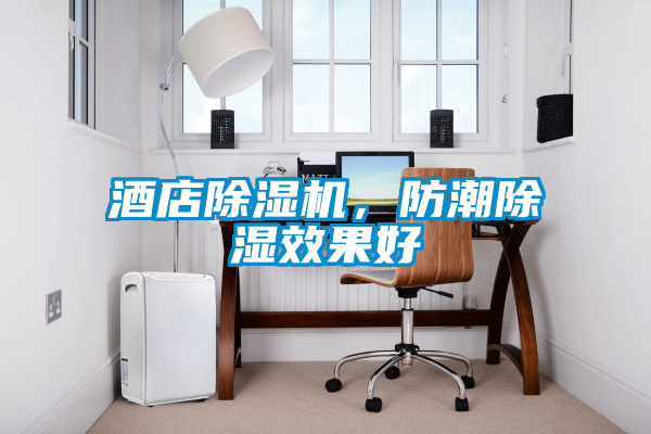 酒店除濕機，防潮除濕效果好