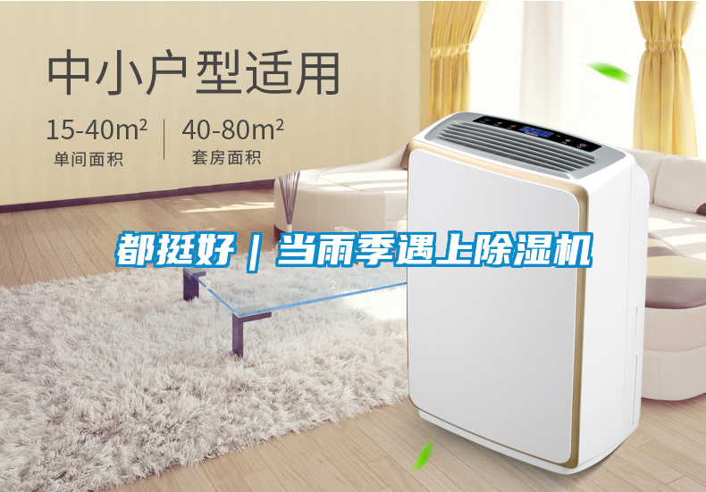 都挺好｜當雨季遇上除濕機
