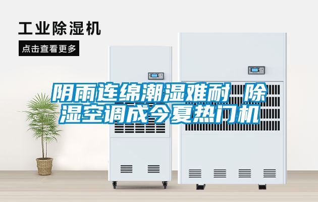 陰雨連綿潮濕難耐 除濕空調成今夏熱門機