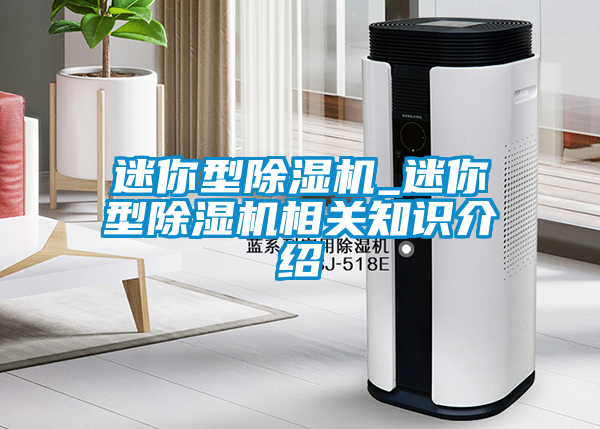 迷你型除濕機_迷你型除濕機相關知識介紹