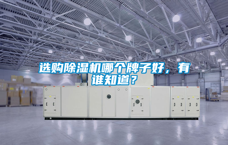 選購除濕機(jī)哪個(gè)牌子好，有誰知道？