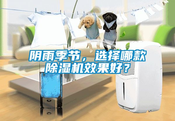 陰雨季節，選擇哪款除濕機效果好？
