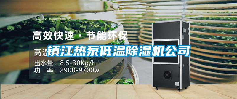 鎮(zhèn)江熱泵低溫除濕機(jī)公司