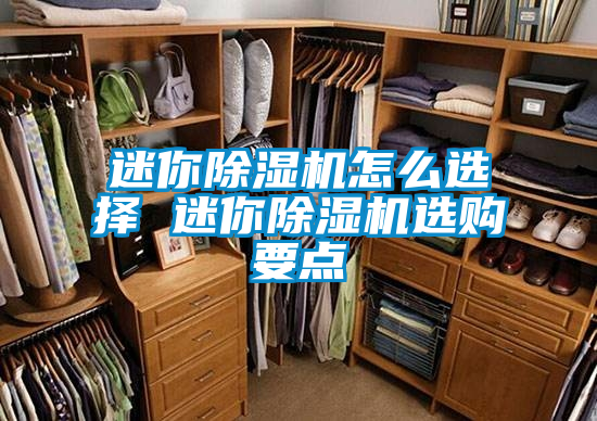 迷你除濕機(jī)怎么選擇 迷你除濕機(jī)選購要點(diǎn)
