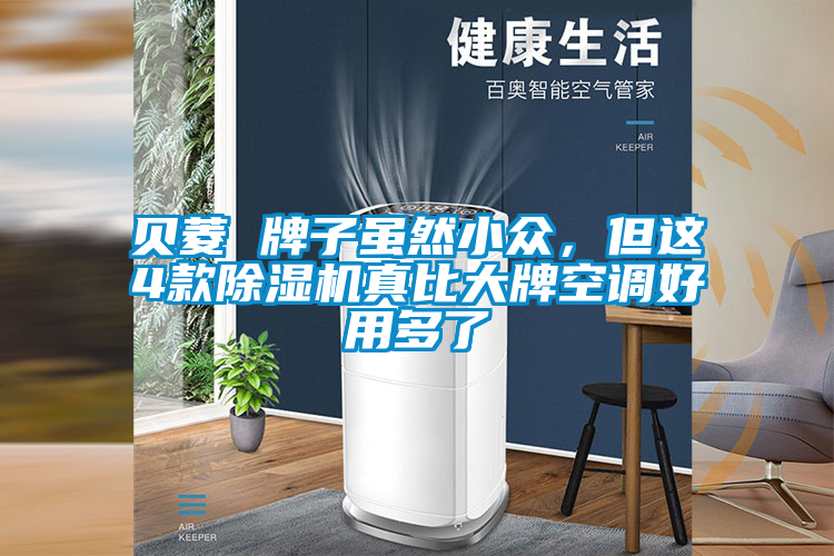 貝菱 牌子雖然小眾，但這4款除濕機真比大牌空調好用多了