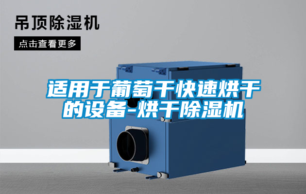 適用于葡萄干快速烘干的設(shè)備-烘干除濕機(jī)