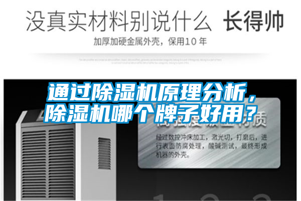 通過除濕機原理分析，除濕機哪個牌子好用？