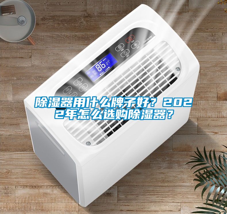 除濕器用什么牌子好？2022年怎么選購除濕器？