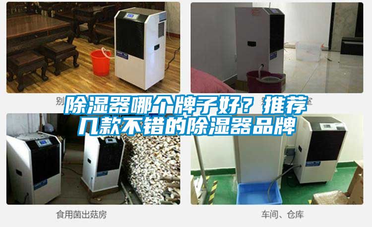 除濕器哪個牌子好？推薦幾款不錯的除濕器品牌