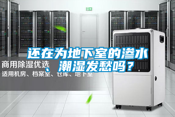 還在為地下室的滲水、潮濕發(fā)愁嗎？