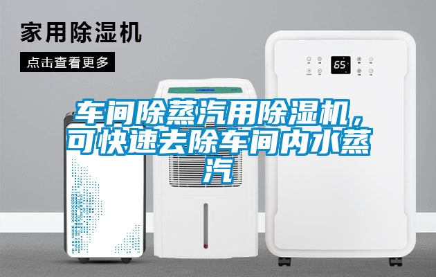 車間除蒸汽用除濕機(jī)，可快速去除車間內(nèi)水蒸汽