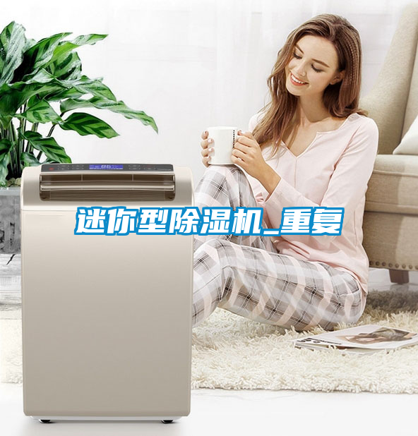 迷你型除濕機_重復