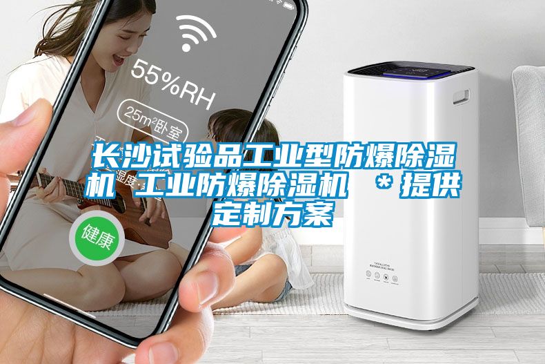 長沙試驗(yàn)品工業(yè)型防爆除濕機(jī) 工業(yè)防爆除濕機(jī) ＊提供定制方案