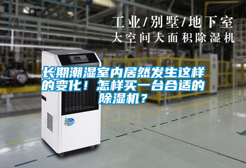 長期潮濕室內居然發生這樣的變化！怎樣買一臺合適的除濕機？
