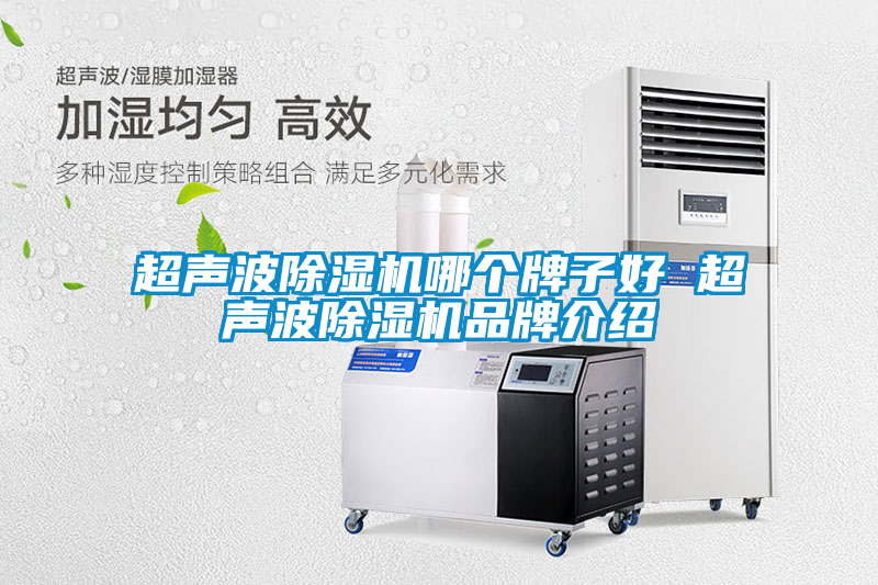 超聲波除濕機(jī)哪個牌子好 超聲波除濕機(jī)品牌介紹