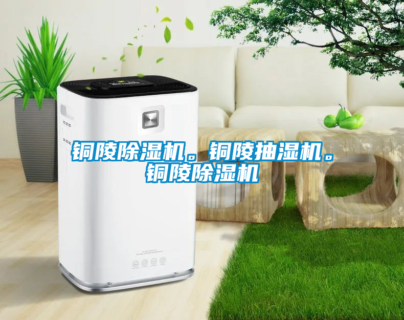 銅陵除濕機(jī)。銅陵抽濕機(jī)。銅陵除濕機(jī)