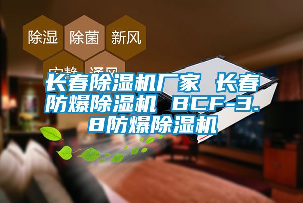 長春除濕機(jī)廠家 長春防爆除濕機(jī) BCF-3.8防爆除濕機(jī)