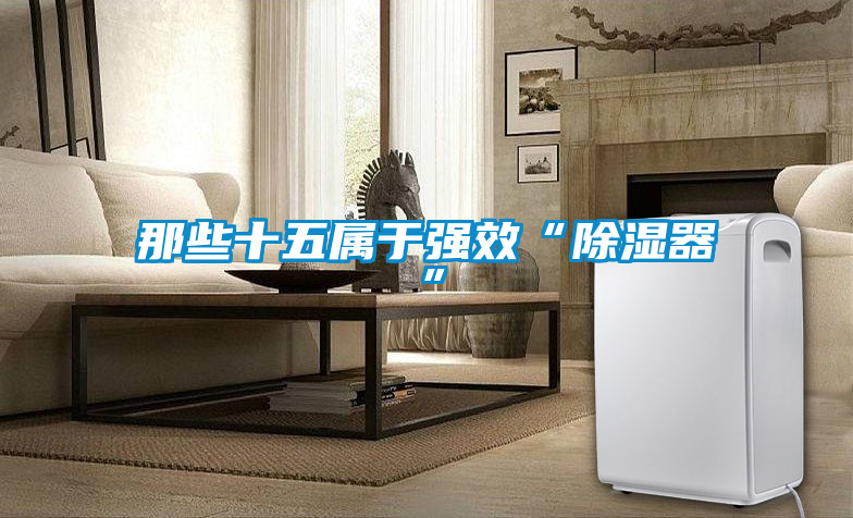 那些十五屬于強效“除濕器”
