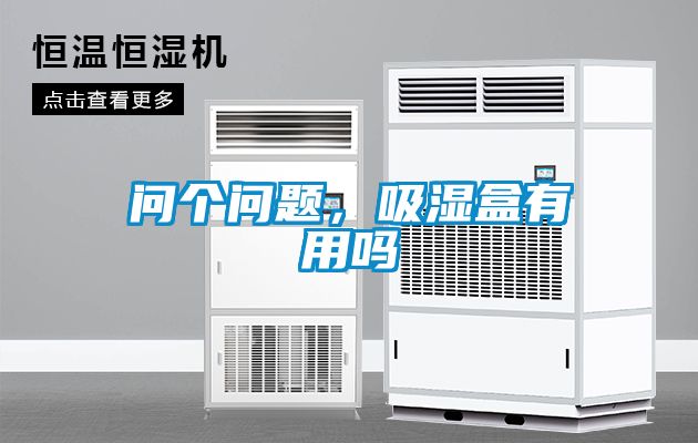 問個(gè)問題，吸濕盒有用嗎