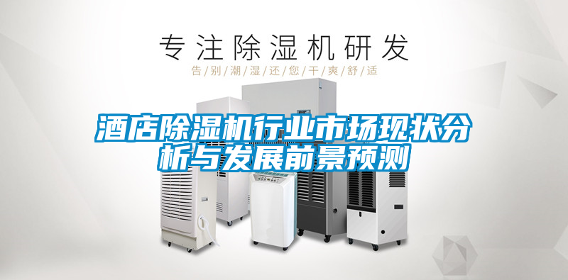 酒店除濕機行業市場現狀分析與發展前景預測