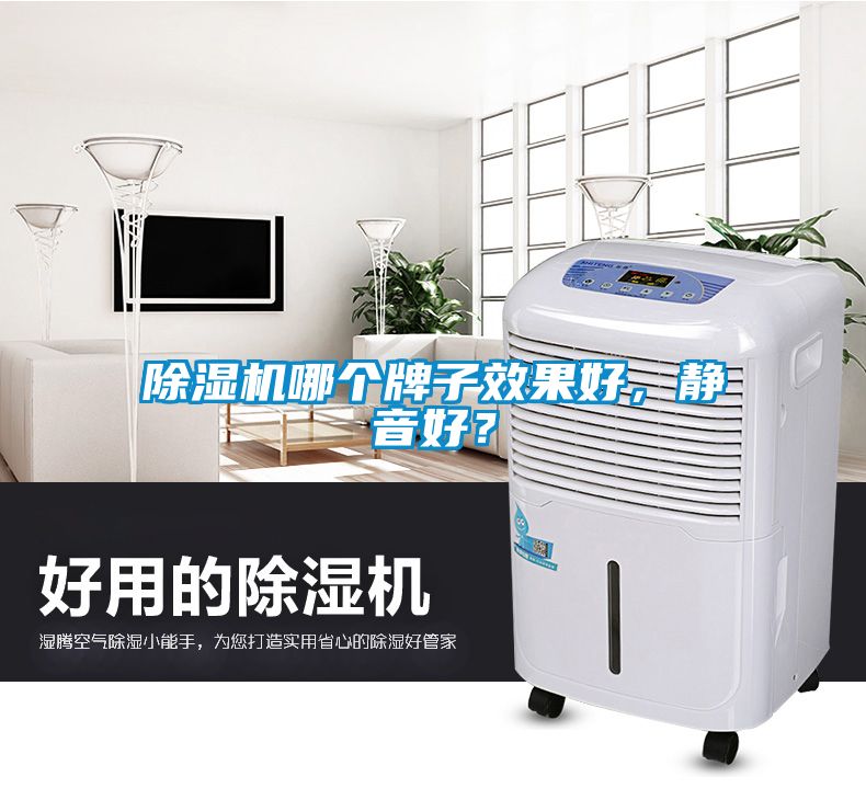 除濕機哪個牌子效果好，靜音好？