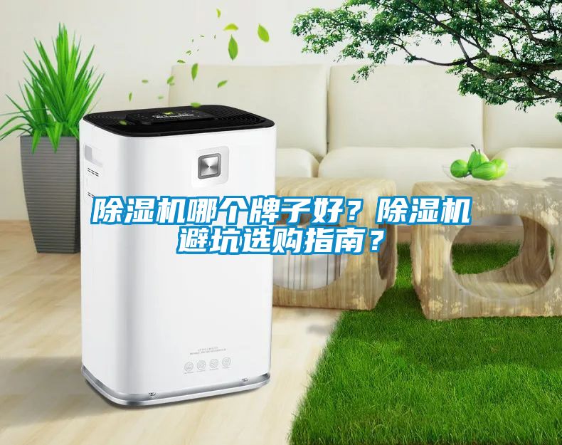 除濕機(jī)哪個(gè)牌子好？除濕機(jī)避坑選購指南？