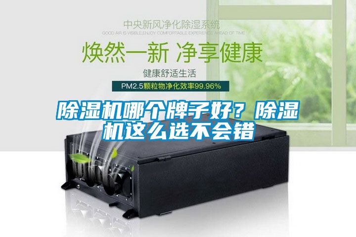 除濕機哪個牌子好？除濕機這么選不會錯