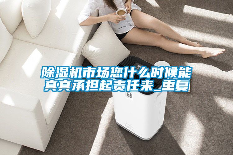 除濕機市場您什么時候能真真承擔起責任來_重復