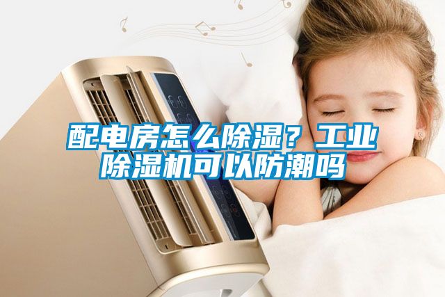 配電房怎么除濕？工業(yè)除濕機(jī)可以防潮嗎