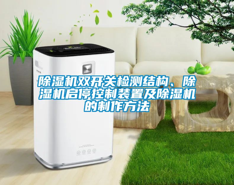 除濕機雙開關檢測結構、除濕機啟停控制裝置及除濕機的制作方法