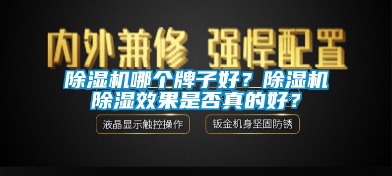 除濕機哪個牌子好？除濕機除濕效果是否真的好？