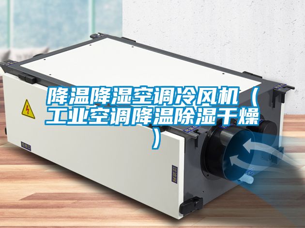 降溫降濕空調冷風機（工業(yè)空調降溫除濕干燥）