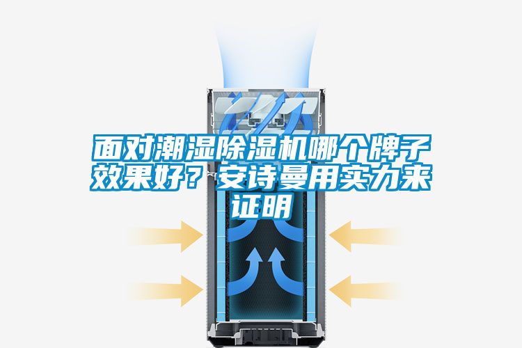 面對潮濕除濕機哪個牌子效果好？安詩曼用實力來證明