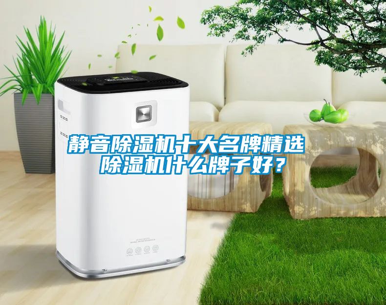 靜音除濕機十大名牌精選 除濕機什么牌子好？