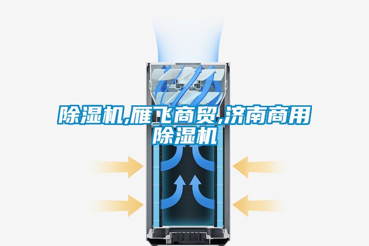 除濕機,雁飛商貿(mào),濟南商用除濕機