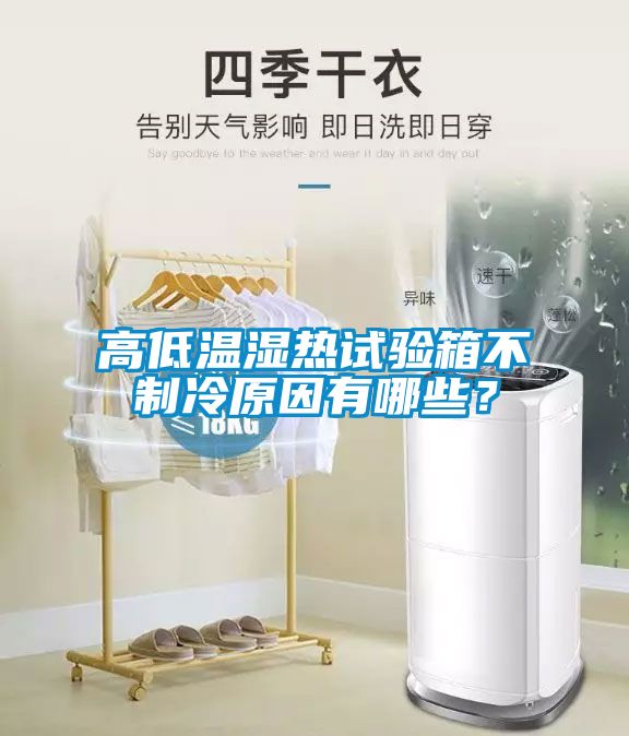 高低溫濕熱試驗箱不制冷原因有哪些？